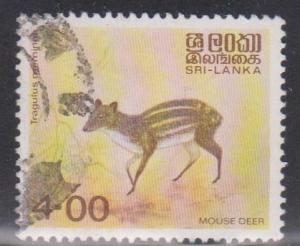 SRI LANKA Scott # 730 Used - Mouse Deer