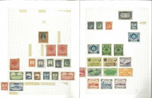 Pakistan 1947-1970 M & a few Used in Crystal Mounts on Elbe Blank pages