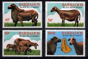 Barbados Scott 566-569 MNH** Black Belly sheep set
