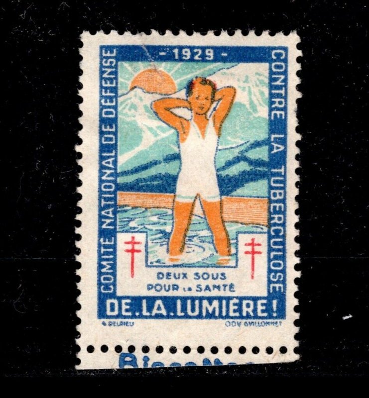 ED-281 OAS-CNY  CINDERELLA STAMP - 1929 FRANCE TUBERCULOSIS