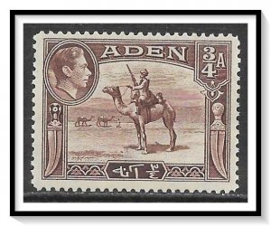 Aden #17 Camel Corpsman MH