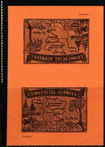 1931 Canada Poster Stamp Air Mail Label Commercial Airways From Pine To Palm