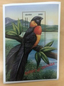 Uganda 1999 - BIRDS OF UGANDA II - Souvenir Sheet (Scott #1619) - MNH