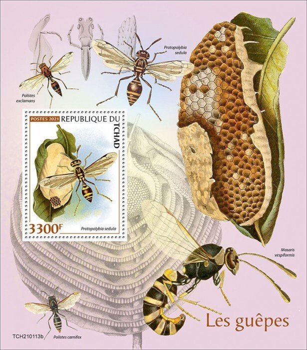 CHAD - 2021 - Wasps - Perf Souv Sheet - Mint Never Hinged