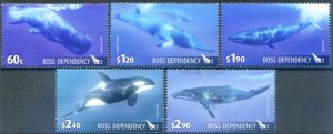 Ross Dep. Fauna. 2010 Cetaceans.