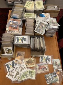 ST THOMAS Plants Wildlife Art Cards HUGE Maxi Card Lot (1000s Cards)(100s Sets)