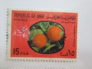 Iraq #564  used   2018 SCV = $0.35