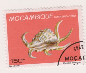 Mozambique 717 Sea Shells 1980