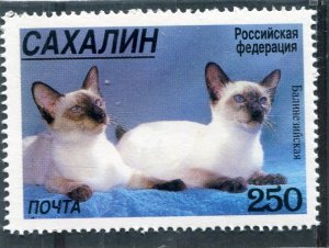 Noyta 1998 Russia Local DOMESTIC CATS 1 value Perforated Mint (NH)