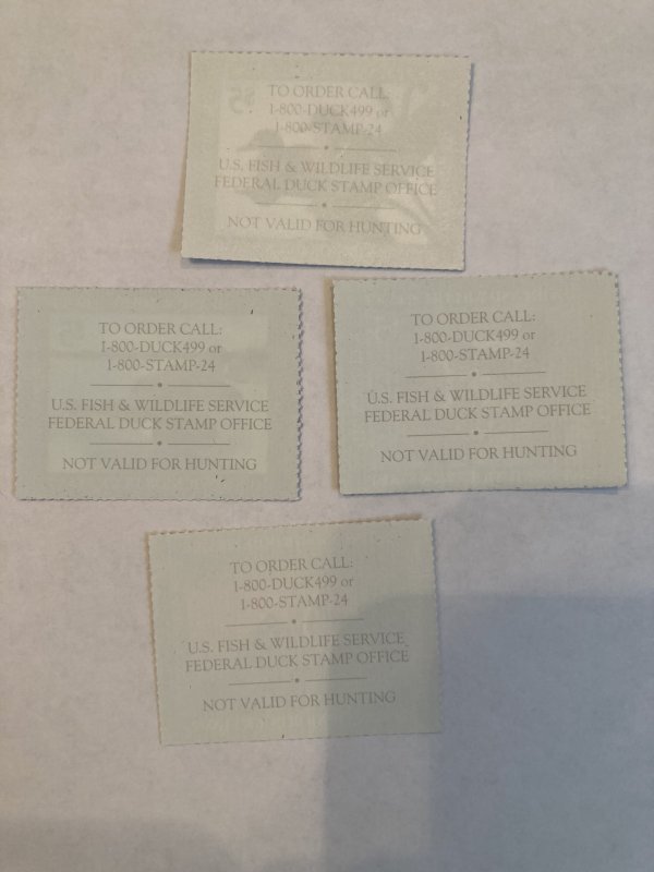 U.S. Junior Duck Stamps 2002 - 2005 mint never hinged