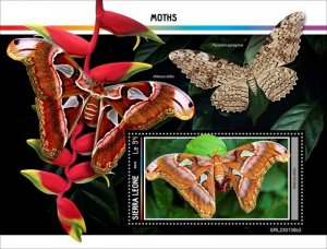 Sierra Leone - 2023 Atlas Moth - Stamp Souvenir Sheet - SRL230138b2