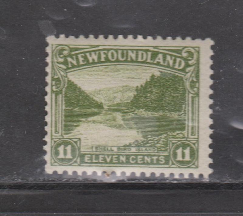 NEWFOUNDLAND Scott # 140 - Mint Never Hinged Shell Bird Island Issue