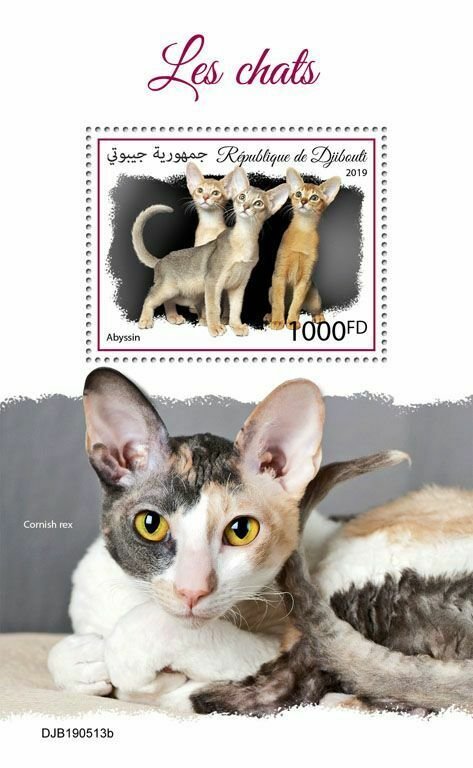 Z08 DJB190513b DJIBOUTI 2019 Cats MNH ** Postfrisch