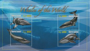 Sierra Leone 2010 MNH Whales of the World 4v M/S II Minke Sei Blue Whale