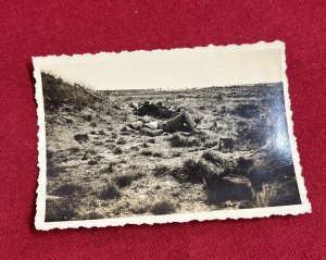 WW2 WWII Original German Military wartime Photo Soldier Laying W German Shepherd