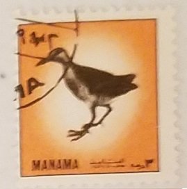 Manama Birds Orange 3Dh