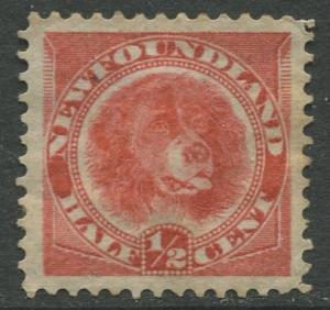 Newfoundland - Scott 56 - QV Definitive - 1887 - MH - Single 1/2c Stamp