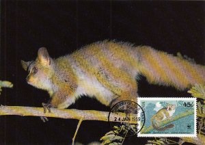 Tanzania 1989 Maxicard Sc #471 45sh Garnett's galago WWF