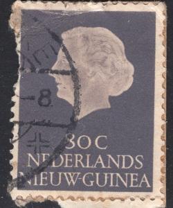 NETHERLANDS-NEW GUINEA SCOTT 35