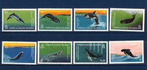 Turks& Caicos Isl. Sc 564-71 MNH Set of 1983 - Sea Life -Whales, Dolphins - HJ06