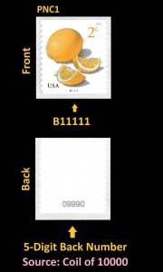 US 5256 Meyer Lemons 2c #on# PNC1 B11111 5d back # MNH 2018