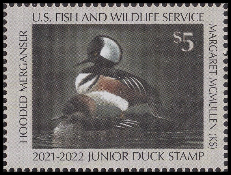 US JDS29 Junior Duck Hooded Mergansers $5 single (1 stamp) MNH 2021-2022