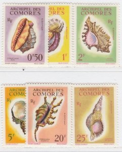 COMORO ISLANDS Sea Shells MH* Stamps A34P3F41896-