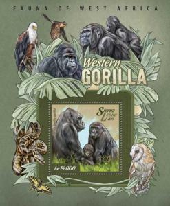 SIERRA LEONE 2015 SHEET GORILLAS MONKEYS PRIMATES WILDLIFE srl15011c