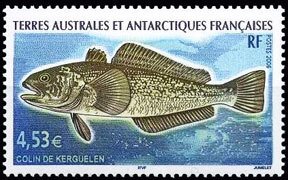 Scott #370 Fish MNH