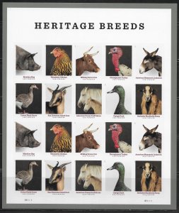 US #5592c (55c) Heritage Breeds ~ MNH