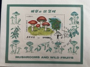 Korea DPR 1989 : Mushrooms - Very Fine Souvenir Sheet