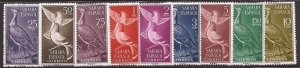 Spanish Sahara - 1961 Birds, Bustard, Dove - 9 Stamp Set - Scott #105-13