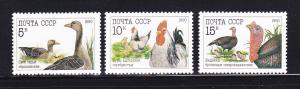 Russia 5909-5911 Set MNH Birds (A)