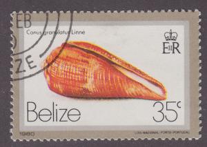 Belize 480 SeaShells 1980 CTO