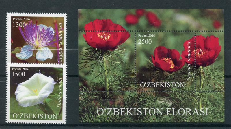 Uzbekistan 2016 MNH Flowers 2v Set + 1v M/S Caper Peony Plants Stamps