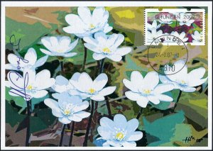 2007 Austria Flowers, Machine-Stamp, Liverwort, Artist signed FDC Maxi Card!