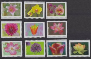 US 5558-5567 Garden Beauty forever set (10 stamps) MNH 2021