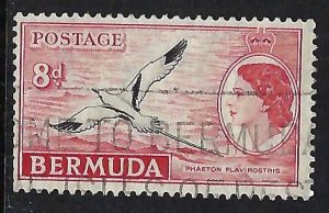 Bermuda 153 VFU BIRD X846-5