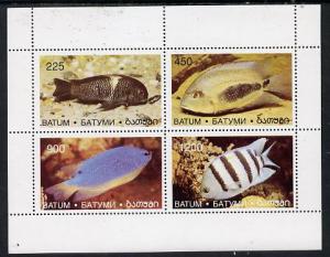 Batum 1996 Fish perf set of 4 values unmounted mint