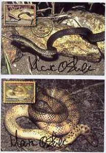 Papua New Guinea 2006 Dangerous Snakes, the set of 6 maxi...