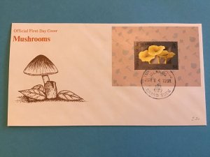 Turks & Caicos Official First Day Cover Mushrooms 1991  Stamp Cover R42927