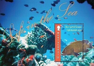 Montserrat - Life In The Sea - Souvenir Sheet MOT1205S