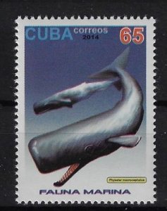 CUBA Sc# 5572  MARINE LIFE   fish   65c  2014  MNH mint