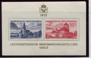 LIECHTENSTEIN  505   MNH