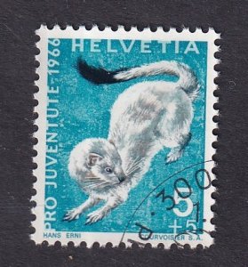 Switzerland  #B360  cancelled  1966  pro juventute  animals  5c ermine