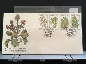 Transkei 1978 Edible Wild Fruits  with special cancel  stamps cover R27992