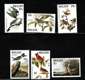 Belize-Sc#750-5- id9-unused NH set-Birds-Audubon-1985-