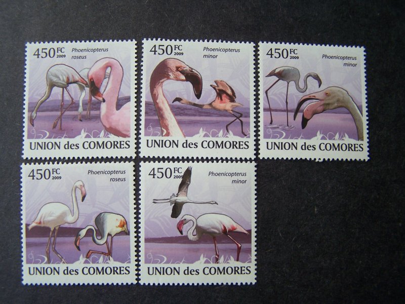 Comores Comoro 2009 MNH Birds Flamingos