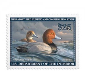 Scott #RW89 RW89A 2022 - Mac's Federal Duck Stamp Mint + FREE ALBUM PAGE+ MOUNTS 