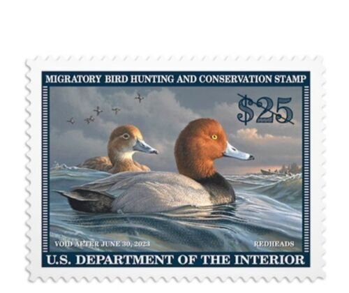 Scott #RW89 2022 - Mac's Federal Duck Stamp Mint OG NH FREE ALBUM PAGE 